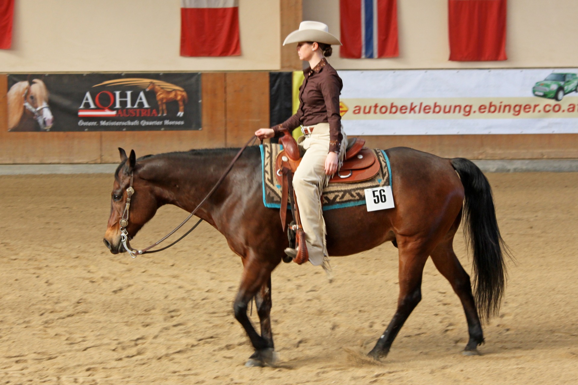 Stílusverseny (Western Horsemanship)