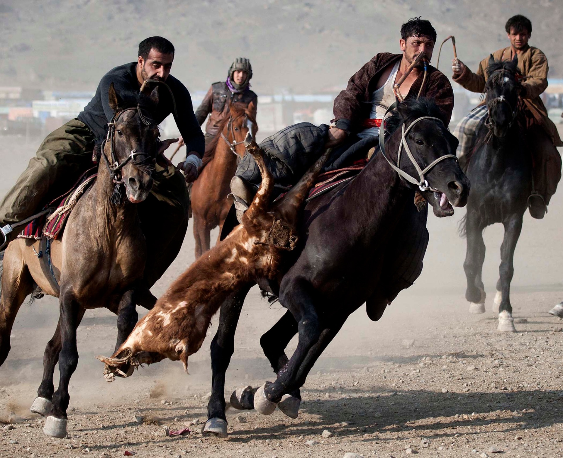 Buzkashi